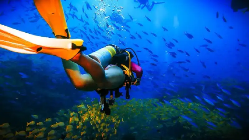 Maldives Luxury Liveaboard: The Ultimate Guide to Premium Diving Experiences